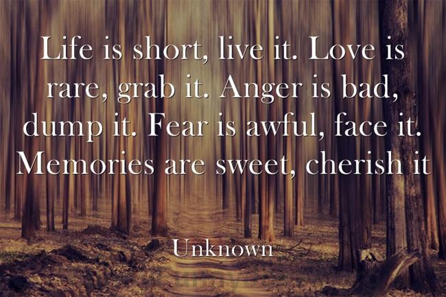 Life-is-short-live-it